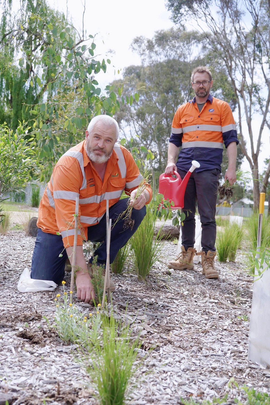 CHW Planting for the future