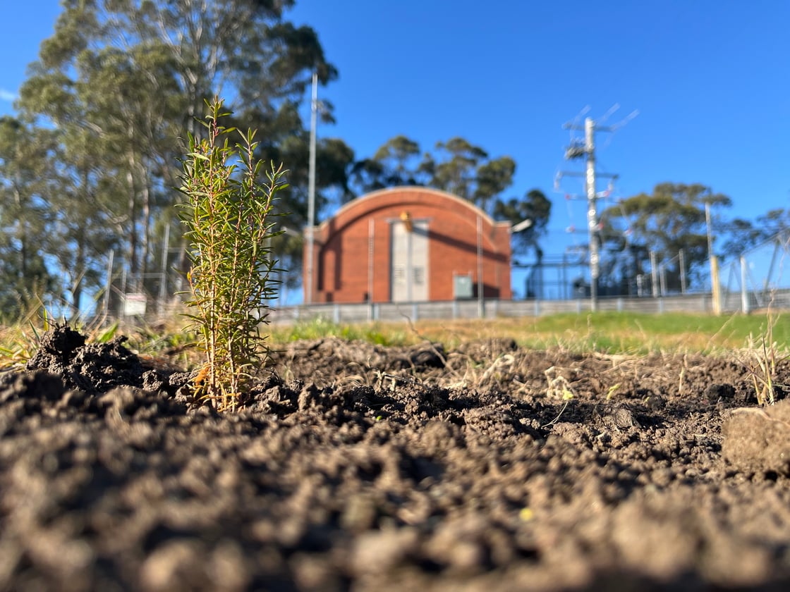 Gipps - Moe water supply protected with riverbank planting