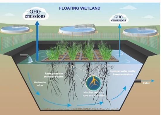 floating wetlands 1